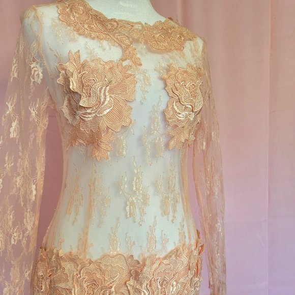 Parvenue Baby Pink Lace Dress - Picture 5 of 7